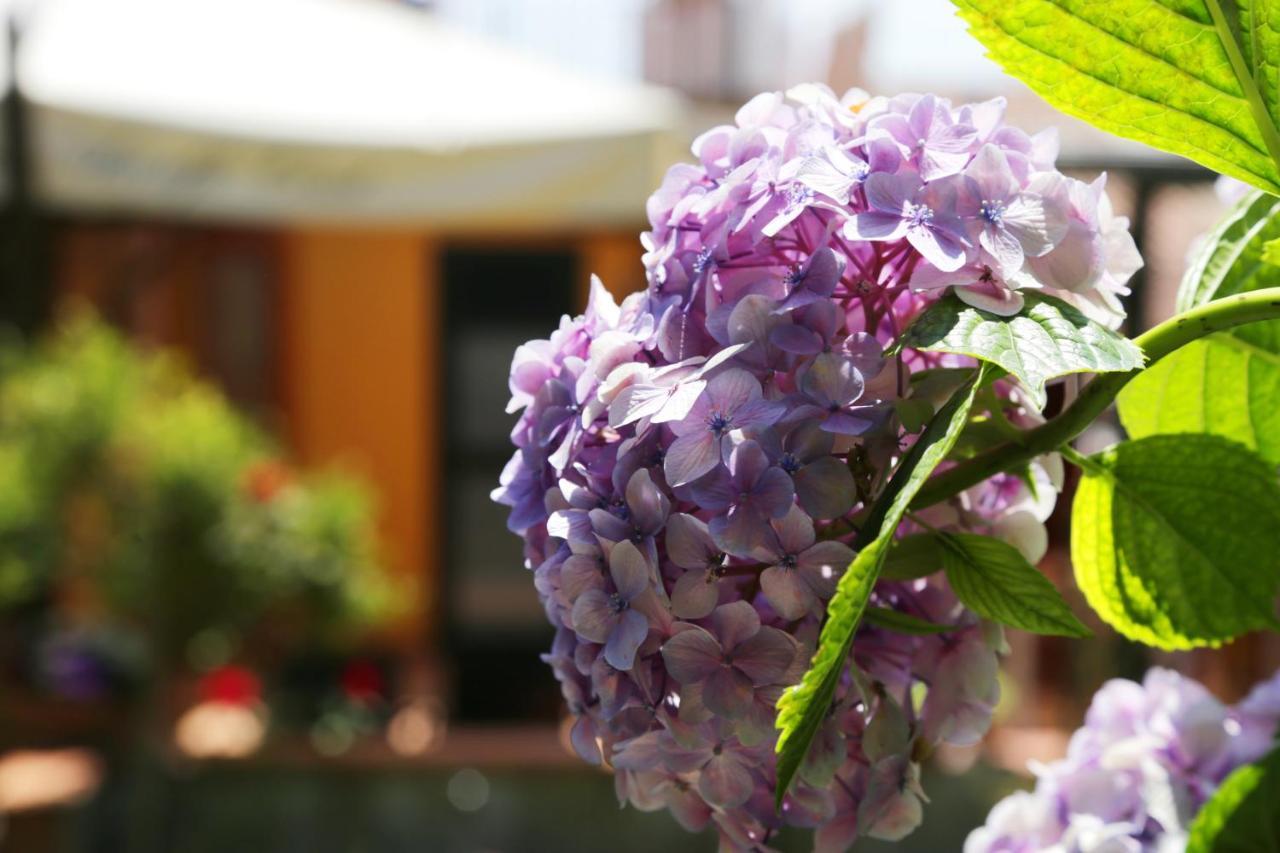 Casa Rosaria Amalfi Coast Bed & Breakfast Vietri sul Mare Exterior photo